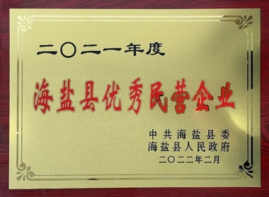 2021年度海盐县优秀民营企业