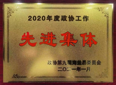 2020年度政协工作先进集体