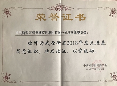 2018年度先进基层党组织