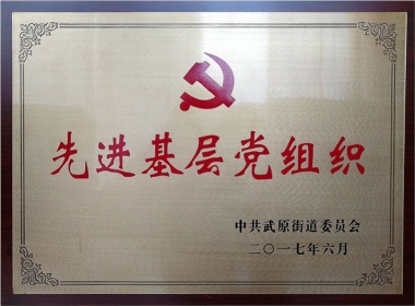 2017先进基层党组织