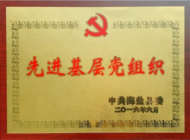 2016先进基层党组织