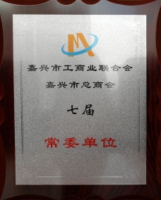 嘉兴市工商业联合会，嘉兴总商会七届常委单位