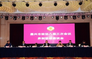 集团公司董事长李董在嘉兴市政协八届三次会议上积极建言献策
