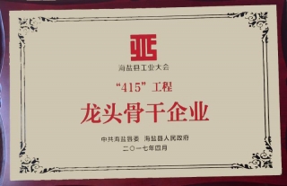 “神”祗忠勤丨公司荣获“415”工程龙头骨干企业称号